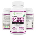Max Imeytyminen USDA Organic Milk Thistle Potent 5:1 Voiöljyuute (2000 mg Vahvuus) & Organic Voikukan juuri 