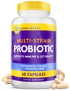 InnovixLabs Multi Strain Probiootit naisille ja miehille - Probioottilisä - 50 miljardia PMY - Gut Health, Immuunituki, Digestion, Lactobacillus Acidophilus, Prebiootit ja Probiootit, 60 kapselia