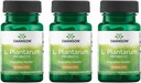 Swanson L. Plantarum - Ruoansulatuskanavan Balance & Bowel Säännöllisyys - Natural Formula auttaa vähentämään turvotusta - (30 kasviskapselia) 3 pakkaus