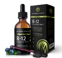 Mt. Enkeli vitamiinit - B12 Essential Trio - Vegaani sublingual Drops korkea-Potency Metyyli B12, B6 & Folaatti - Helppo absorptio neste - ei-GMO, valmistettu Yhdysvalloissa