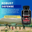 Immuunituen täydennysosa - 10-in-1 Echinacea-, Elderberry-, valkosipuli-, kurkuma-, sinkki-, C-vitamiini-, E-, B6- ja L-glutamiini-, 4,8-miljardia PMY Probiootti aikuisille
