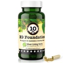 Hopea Lining Yrtit Kaiken kaikkiaan koiran terveys täydentää 10 K9 säätiö - Natural koiran täydentää koirille Maksa, munuaiset, Digestion, Vitality & Immuunijärjestelmä tuki koirille - 90 kapselia
