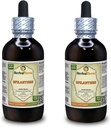 Spilanthes (Acella oleracea) Tinkture, Organic kuivattu lehdet, kukat ja Stems Liquid Extract (Brand nimi: HerbalTerra, ylpeästi valmistettu USA) 2x4 fl.oz (2x120 ml)
