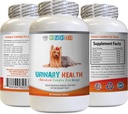 Koiran virtsarakon tuki - koiran virtsan Health Formula - auttaa inkontinenssi ja rakko kysymykset - Immuuneja Boost - Maissi silkki pillereitä koirille - 1 pullo (90 hoitoja)