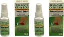 Seagate Tuotteet Homeopaattinen Olive Leaf Kurkkuun Spray 1 unssi Ei maku 2pack