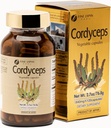 FINE JAPAN Cordyceps Sienikapselit - Premium Cordyceps Militaris ja Sinensis Extract optimaaliset terveysedut, 100% aito Cordyceps helppo niellä kapselit
