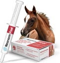 Jaguar Animal Health Foal - Equine Supplement Paste for the Support of Proper Hydration & Bovel Health - Plant-Baseed Product for Pre-Weaned Foals (30 ml)