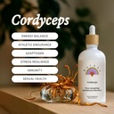 Rainbo - Cordyceps Mushroom Tincture - Dual Extract Mushroom Supplement - Immunosupport, Energia, Liquid Cordyceps Supplement, Vegan, Non GMO, 3.4 fl oz