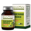 Banyan Botanicals Kanchanar Guggulu Tabletit 