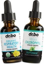 Keuhko Detox hengitysteiden terveys Drops & klorofylli Liquid - Orgaaniset hengitysteiden lisäravinteet Herbal Lung Cleanse Mullein for Lungs Bronchial Support - klorofyllien tippa Odor Cleanse Sisäinen deodorantti