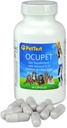 Ocupet Advanced Vision and Eye Health Supplement for Medium to large Dogs Packed with Natural B12, Grape Seed Extract and Lutein to Support Lemmikkieläimet Diabetes tai silmäriippuvuus 90 kapselia