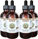 African Cherry Pygeum Alkoholiton nesteuute, African Cherry Pygeum (Prunus Africana) Bark Glycerite Natural Herbal Supplement, Havaiji Pharm, USA 4x4 oz