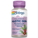 SOLARAY Mastic Gum Extract 500 mg 45