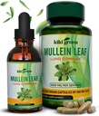 KIKI Green Mullein Capsules & Liquid Drops Bundle - Mullein Leaf Extract lisäravinteet, 90 kapselia + 2 fl oz - hengitysteiden ja immuniteetin tukemiseen, parempi keuhkojen toiminta, keuhkojen puhdistus ja helpotus