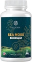 Sea Moss Gummies 