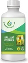 Marine Liquid Collagen Supplement -1 000 mg Morikol Tripeptide Marine Collagen Plus 1 000 mg Biotin Hyaluronic Acid C-vitamiini Terve iho Hiusten kynnet Joint Support GMP Certified Gluten&Soy Free