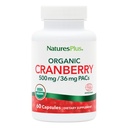 NaturesPlus Organic Cranberry 500 mg - 60 kapselia - auttaa edistämään terveellistä virtsaneritystä - USDA Certified Organic, Vegan, Gluteeniton, ei GMO - 30 tarjoilua