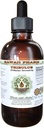 Tribulus alkoholiton nesteuute, Tribulus (Tribulus Terrestris) Kuivatut hedelmät Glycerite Natural Herbal Supplement, Havaiji Pharm, USA 2 fl.oz