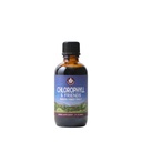 ToivoisinGarden Yrtit klorofylli & Friends - klorofyllin nestemäiset drops Nettle Leaf, Holy Basil, Moringa Leaf & Piparmint Leaf, tukee lisääntynyttä energiaa, terve Immuuni, & stressi vaste, 2oz