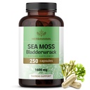 HERBAMAMA Irish Sea Moss Capsules - 1600mg Sea Moss ja Blackderwrack for Immune Support - Vegan, non-GMO Immuniteetti täydentää yleistä tukea