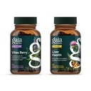 Gaia Yrtit Vitex Berry (Chaste Tree) - Tukee Hormoni Balance & hedelmällisyyttä naisille - 60 Vegan Caps & Liver Health - Liver Supplement maito Thistle, lakritsi juuri maksalle ja Cleanse tuki -