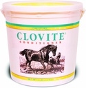 Pfizer Clovite hoitoaine 5 lb