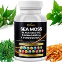 Sea Moss 3000 mg Musta siemenöljy 2000 mg Ashwagandha 1000 mg rannerengas 1000 mg Turmeric 1000mg Burdock 1000 mg C-vitamiini & D3 Elderberry Manuka Voikukka Keltainen tekka klorofylli ACV