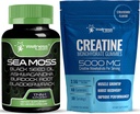 WELLNESS LABSRX Irlanninmeren sammal kapselit - Creatiini Gummies 5000mg
