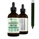 360 Nutrition Matcha klorofylli nestetippa L- Theanine, gluteeniton ja vegaaninen sisäinen deodorantti täydentää, tukee Gut Health, Digestion, energia, Radiantti iho, nopea imeytyminen, 60 tarjoilua
