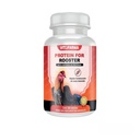 Protein Blend for Rooster Chicken - Proteina a Base de Suero de Leche y Albumina de huevo para Gallos 100 tablettia