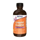 NYT lisäravinteet, CoQ10 Liquid, 100 mg per Teaspoon, koentsyymi B-vitamiinit, makeutettu ksylitoli, 4-Ounce