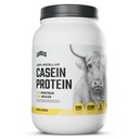 Tasot 100% Micellar Casein Protein, Hormoniton, Vanilla Bean, 2LB