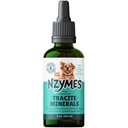 Nzymes® Tracite Minerals Lemmikkieläinten - Fulvic Acid, Hummerihappo, ja rauta-Based Mineral Drops ja Aminohapot ATP Energy, ja Ruoansulatusterveys - Valmistettu Yhdysvalloissa