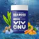 Sea Moss Black Seed Oil Ashwagandha Shilajit Ginger-Sea Moss -kapselit, joissa on Burdock Turmeric Vitamiinit C & D3 Elderberry Ginger ACV Manuka Dandelion-Immuunijärjestelmä,Skin,Energy Support