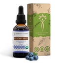 Tribe Bilberry Fruit USDA Organic 