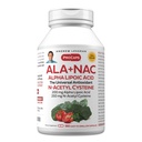 ANREW LESSMAN ALA + NAC Alpha Lipoic Acid with N-Acetyl-Cysteine 360 kapselit - Ultra-High Potency, Anti-Oxidant Tuki hermoston, sydämen, aivojen, maksan, munuaiset, Keuhkot, energia. Ei lisäaineita
