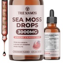 TrueSeaMoss Irish Sea Moss Drops - 5X Vahvempi kuin Sea Moss Gel - 92+ Essentials Minerals - Spirulina Powder, Burdock Root & Black Cumin - 2 Fl Oz (60ml) - Mansikka maku