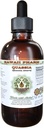 Quassia alkoholiton nesteuute, Quassia (Quassia Amara) kuivattu Bark Glycerite Natural Herbal Supplement, Havaiji Pharm, USA 2 fl.oz