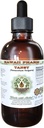Tansy Alcoal-Free Liquid Extract, Organic Tansy (Tanacetum Vulgare) Kuivattu lehti ja kukinnan alkuun Glycerite Natural Herbal Supplement, Havaiji Pharm, USA 2 fl.oz