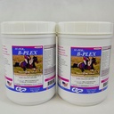 SU-PER B-Plex Powder Equine Vitamiinit - Täydellinen B-Complex Hevosvitamiinit ja mineraalit täydentää - Terveet kaviot, punaiset verisolut, Hevosen Calling Powder - 2,5 punta, (2 pakkaus)