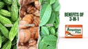 Ampalaya Plus 550mg 90 kapselia - Pakkaus 1 - kanssa Banaba, Turmeric Ginger ja Bitter Melon Ampalaya Plus - Halal Herbal Supllements
