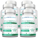 Hyväksytty Science Pyloriprin - Advanced digestiivinen tuki terveen vatsan - Sinkki L-karnosiini, Probiootti, Parsakaalia Sprout, Deglycyrrhized Licorice - 360 kapselia - kuusi kuukautta Supply - Vegan