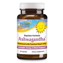 POHJOINEN AMERICAN HERB & SPICE Ashwagandha 60 Caps