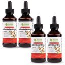 Maxx Herb Ashwagandha Extract ... Max Strength Liquid Tincture Absorbs Better Than Capsules or Powder - for Stamina, Memory, and Immuuni tuki ... 4 pulloa, 4 Oz Each (240 Servings)