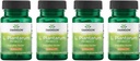 Swanson L. Plantarum - Ruoansulatuskanavan Balance & Bowel Säännöllisyys - Natural Formula auttaa vähentämään turvotusta - (30 kasviskapselia) 4 pakkaus