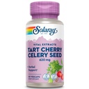 SOLARAY Tart Kirsikka ja sellerin siemen . terve virtsahappotasot, nivelet, lihasten Recovery & sleep tuki 60 VegCaps