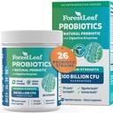 Probiootit miehille ja naisille, 100 miljardia PMY, 26 Ainutlaatuinen kanta, miesten ja naisten probiootit ja prebiootit tukevat digestiivinen terveys, Gut Wellness, energia, mieliala, Immuuni, PH Balance (30 Caps)