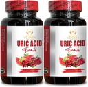 URIC Acid Support - Tehokas Joint Support and Uric Acid, Tart Cherry Extract, Uric Acid Support Formula, Munuaisten ja maksan tuki - 2 pullot 120 kapselia