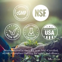 ML Naturals Sienet Complex 120 Vihanneskapselit. 6 Essential Sienet: Organic Reishi, Leijonan mane, Cordyceps, Terve Immuuni tuki, NSF-sertifioitu & cGMP-Compliant.