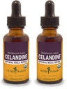 Herb Pharm Certified Organic Celandine Liquid Extract - 1 Ounce (Pakki 2)